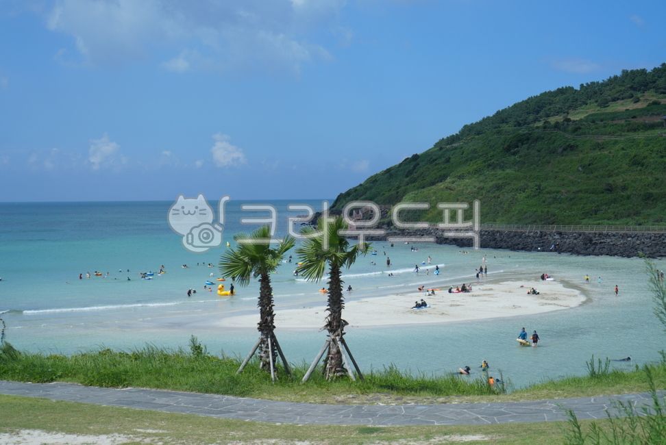 제주,함덕,함덕해수욕장,여름,바다,해변,섬,자연,jeju,summer,nature,sea,beach,island,해안,tree,나무,여름감성,감성,감성사진,제주바다,한국자연풍경,한국자연경관,koreanature,landscape