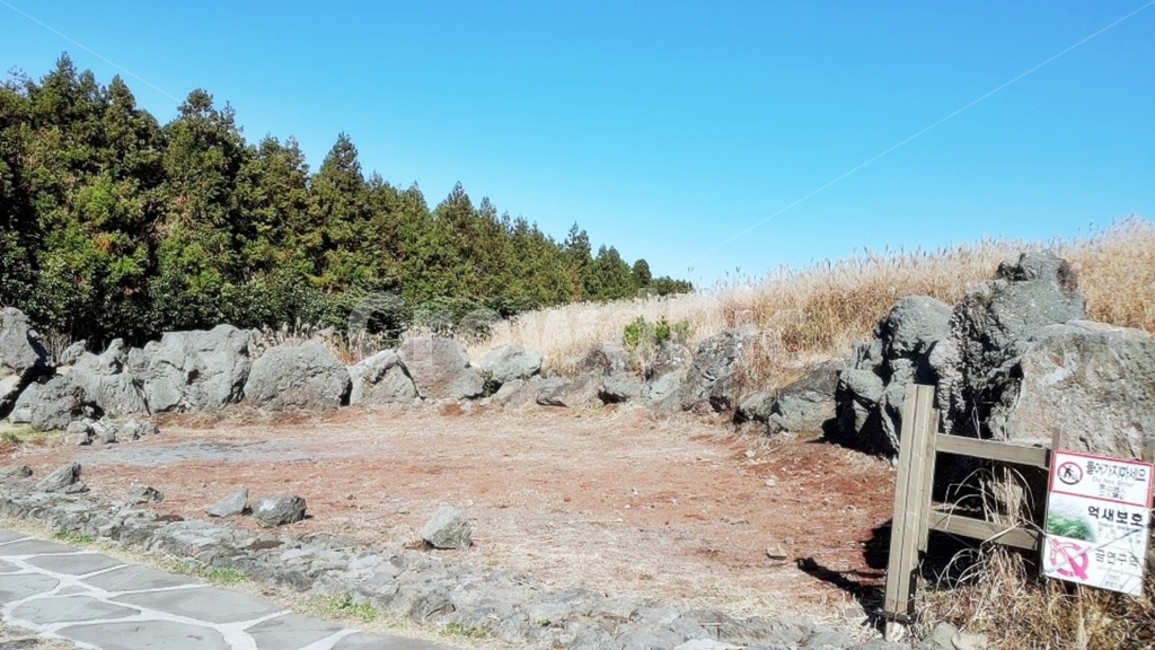 제주도산굼부리,산굼부리,배경화면,가을하늘,가을풍경
