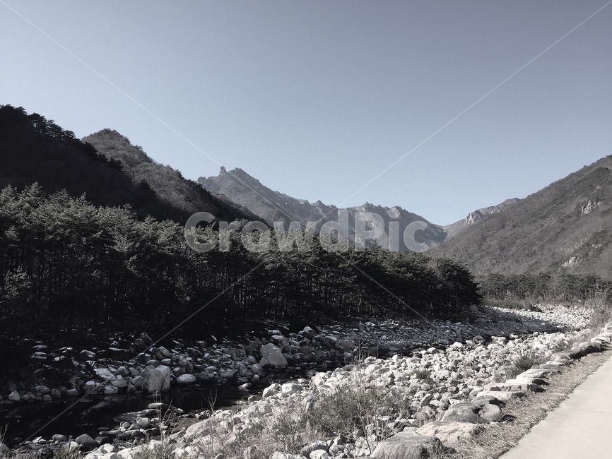 산,나무,풍경,하늘,흑백,자연,풍경,nature,landscape
