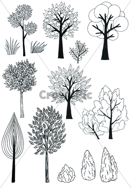 손그림,handdrawing,팬그림,팬라인,pen,penline,penpicture,나뭇잎,leaf,foliage,umbrage,나뭇가지,bough,twig,sprig,branch,나무,tree,wood,pendrawing