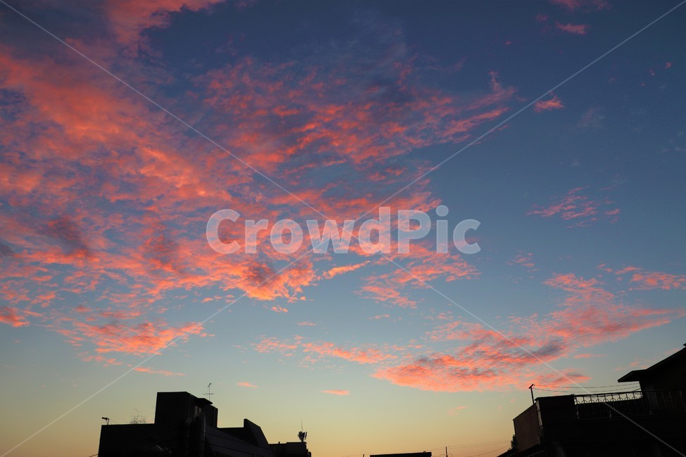 노을,sunset,구름,분홍구름,해질녘,감성사진,분홍색감,colorsense,색감