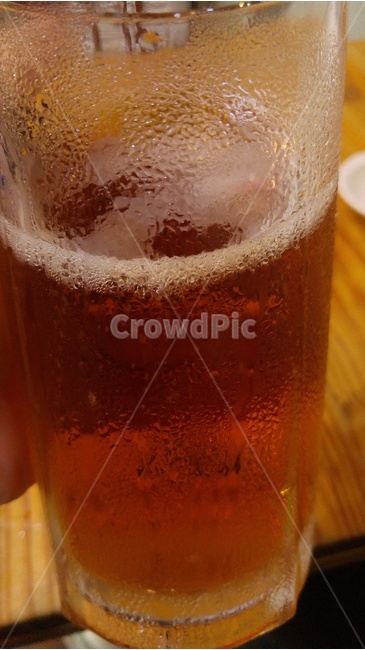 생맥주,맥주,술,거품,beer,한잔,청량,시원,잔,컵,술,주류,alcohol