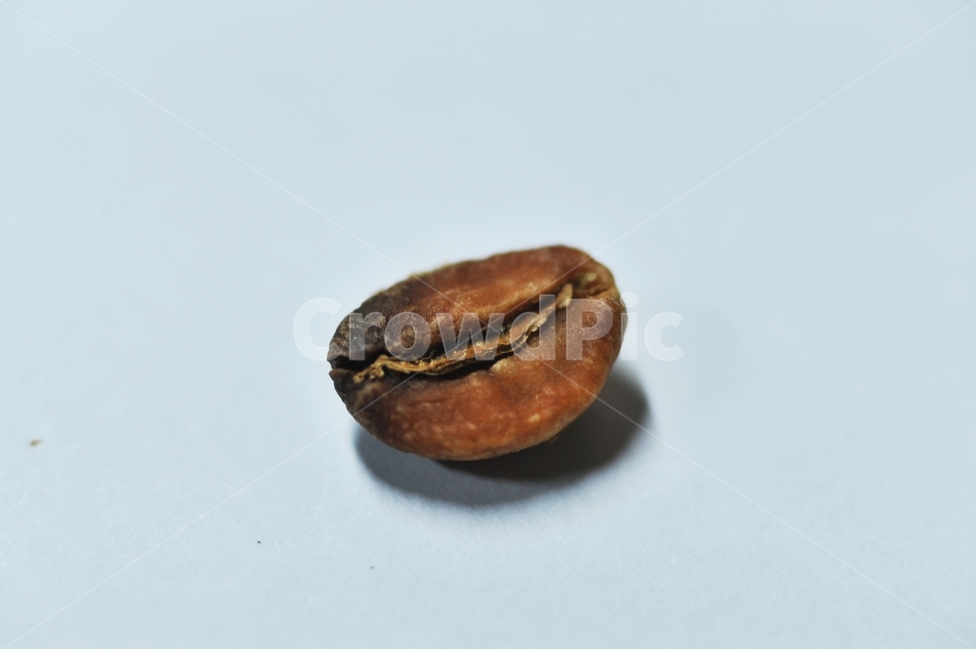 커피,커피빈,생두,원두,coffee,커피콩,Arabica,열대식물,카페인,커피,카페,coffee,cafe,누끼,remove background