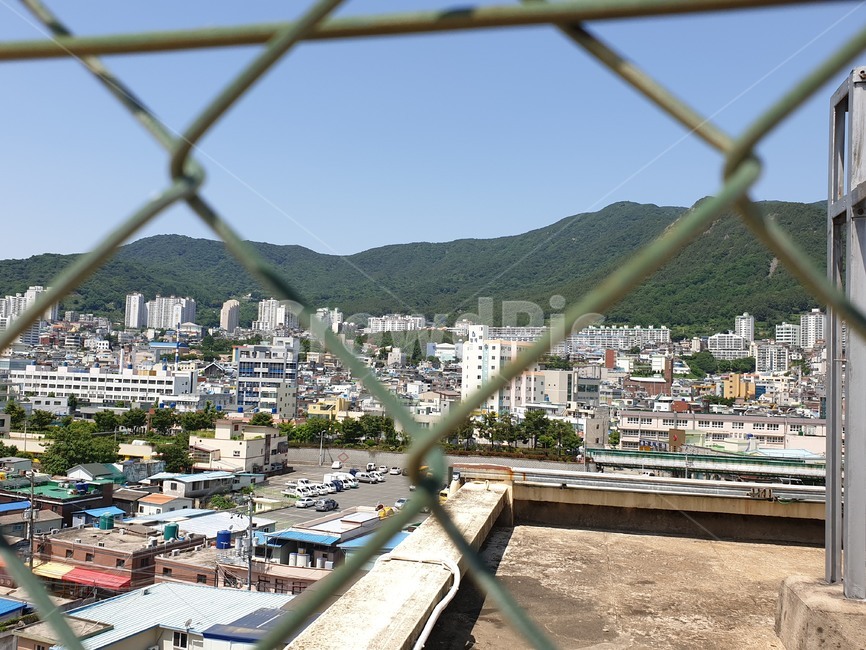 도시,산,빌딩,학교,주택,공터,서성동,철망,옥상