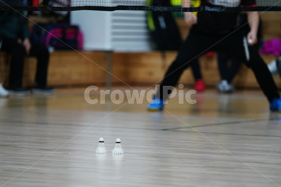 스포츠,배드민턴,운동,셔틀콕,sports,취미,flooring,person,바닥,floor,인간,human,스포츠,레저,운동,sports,leisure,exercise