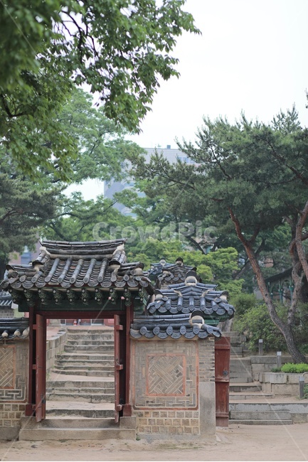한옥,기와,중문,한식,소나무,출입문,koreanstylehouse,rooftile,pine,한국전통,한국문화,korean traditional,korean culture,건축물,건물외관,exterior,building,structure,architecture,construction