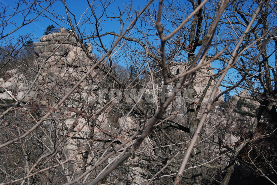 속리산국립공원,문장대,천왕봉,입석대,수학여행지,자연의위대함,등산로,능선,아름다움,신비스런산,돌,산행,힐링,자연,감성,등산,계절,여행,한국,한국명산,한국등산,풍경,눈,나무,하늘,바람,바람소리,환경,생태계,산,땅,겨울,계절,winter,season,자연,풍경,nature,landscape,한국자연풍경,한국자연경관,korea nature landscape,tree,plant,식물