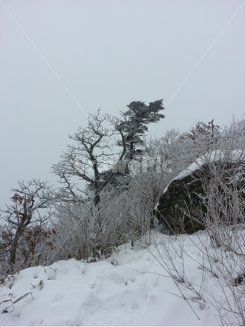겨울산,눈꽃,덕유산,무주,겨울,계절,눈산,눈,흰색,하얀,겨울눈,색채,색감,감성,감성사진,자연,풍경,얼음