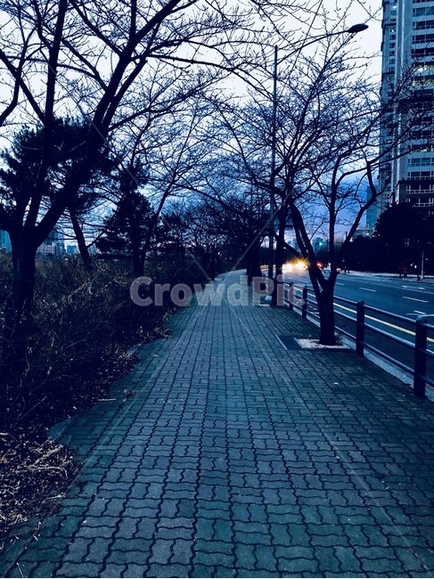 여의도,한강공원,저녁,해질녘,공원,park,susnet,자연,풍경,nature,landscape,path,통로,walkway,보도,pavement,포장,sidewalk