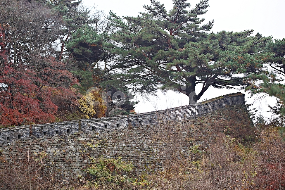 남한산성,성,성곽,단풍,낙엽,길,둘레길,숲,숲길,담,돌담,가을,자연,풍경,벽,울긋불긋,산성,식물,가을,계절,fall,autumn,season