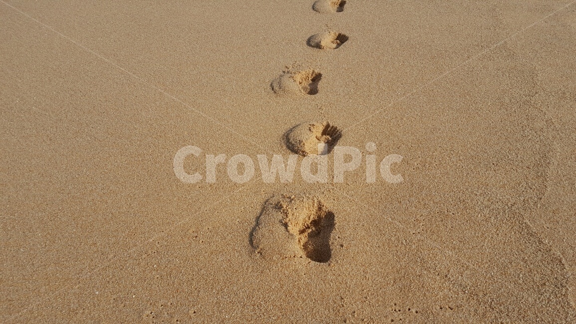 모래,모래밭,바다,해수욕장,발자국,자연,풍경,여름,해변,바다,beach,sea