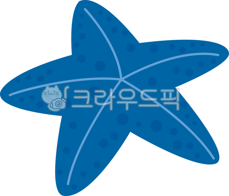 극피동물,불가사리,불가사리장식,해산물,해양생물,수생생물,수산물,바다생물,여름이미지,바다이미지