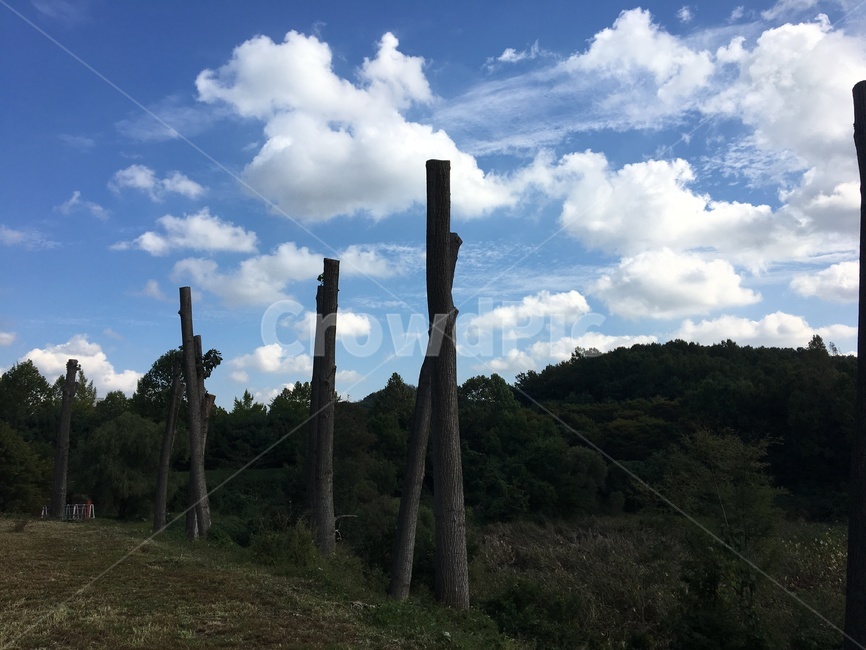 하늘,구름,자연,풍경,양떼구름,sky,날씨