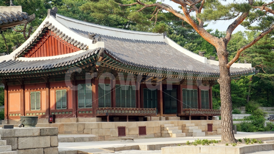 한국,조선,역사,문화재,한옥,나무,지붕,기와,궁전,궁궐,창경궁,korea,풍경,landscape,한국문화,한국전통,히스토리,history,조선시대,조선왕조,왕궁,건물,건축,문화,전통,유적,유적지,용마루,추녀마루,내림마루,잡상,와제,10신상,전각,동양,아시아,asia,kingdom,한국자연,snap,스냅,클로즈업,closeup,단청,랜드마크,landmark,tourist attraction,한국전통,한국문화,korean traditional,korean culture