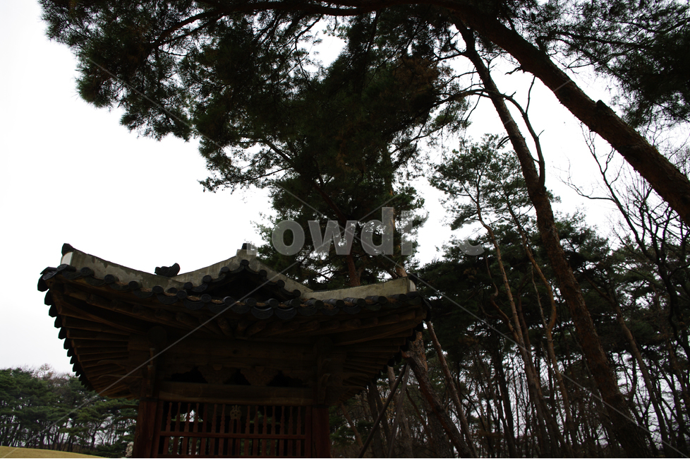 왕릉,전각,조선,한국,전통,문화유산,릉,한국전통,한국문화,korean traditional,korean culture,건축물,건물외관,exterior,building,structure,architecture,construction
