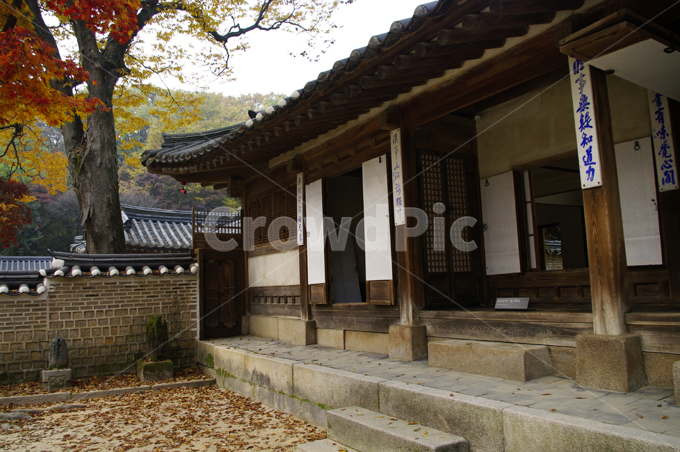 창덕궁,창덕궁후원,연경당,고궁,건축,전통건축,traditional,전통,가을,fall,나무,식물,plant,단풍,잎,낙엽,가을,계절,fall,autumn,season,한국전통,한국문화,korean traditional,korean culture,건축물,건물외관,exterior,building,structure,architecture,construction,patio,안마당,porch,현관,flagstone,판석,pergola,페르 골라