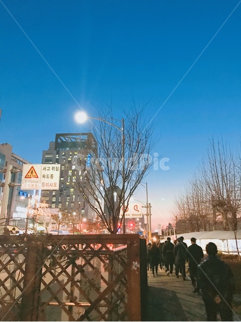 길,도로,야간,퇴근길,밤