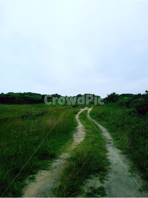 바닥,길,풀,잡초,잔디,올레길,초록색,하늘,구름,자연,풍경,nature,landscape,dirt road,흙길,road,도로,gravel,자갈,outdoors,옥외