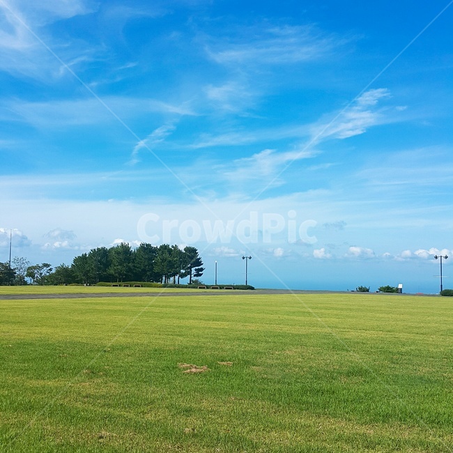 제주도,하늘,구름,자연,초원,풍경,자연,풍경,nature,landscape,grass,잔디,plant,식물,field,들