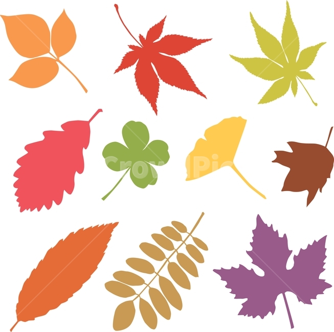 벡터,eps,vector,가을,낙엽,leaves,autumn,fall,season,colorful,가을소스,디자인소스,패턴,pattern,패턴소스,잎새,잎사귀,식물,다양한,various,different,fallenleaves,일러스트레이션,illustration,단풍잎,은행잎,클로버,토끼풀,아카시아잎,떡갈나무,참나무잎,플라타너스,단색,가을분위기,가을소재,시즌,계절,9월,10월,11월,가을,계절,fall,autumn,season,그래픽,일러스트레이션,graphic,illustration,plant,leaf,잎