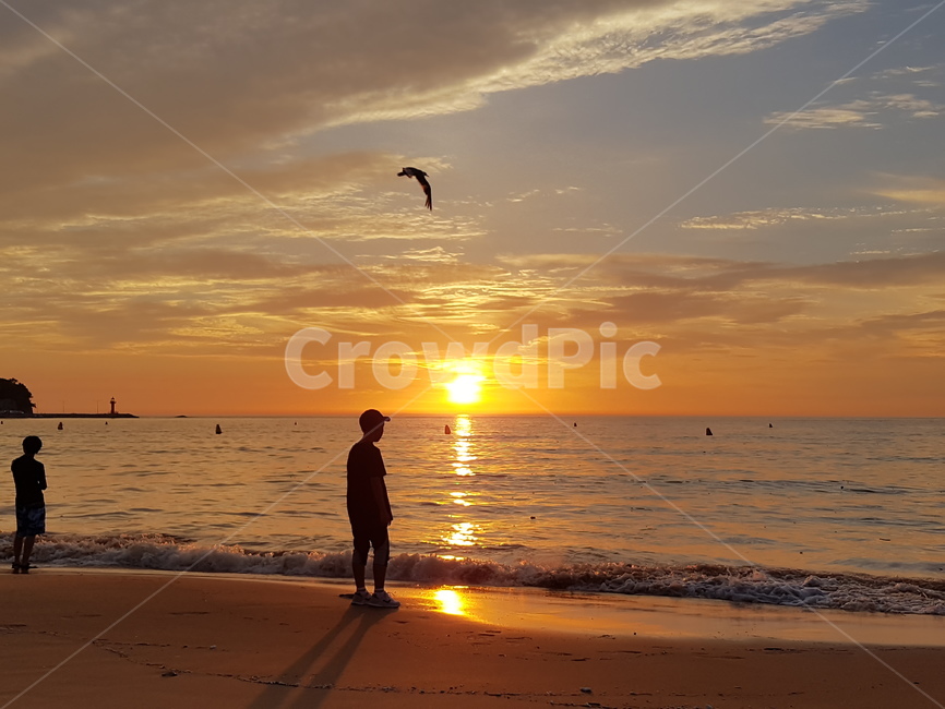 leisureactivities,adventure,모험,human,인간,person,nature,outdoors,옥외,석양,구름,갈매기,그림자,해변,바다,beach,sea