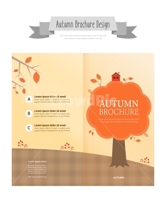 brochure,sign,autumn,leaflet,text box,Catalog