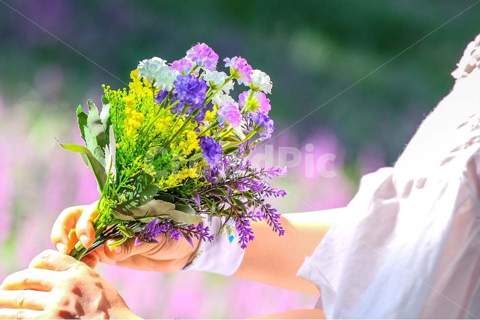 꽃다발,여자,시선,감성,꽃,보라꽃,여름,식물,자연,plants,nature,꽃,flower,휴식,힐링,rest,relaxation,healing