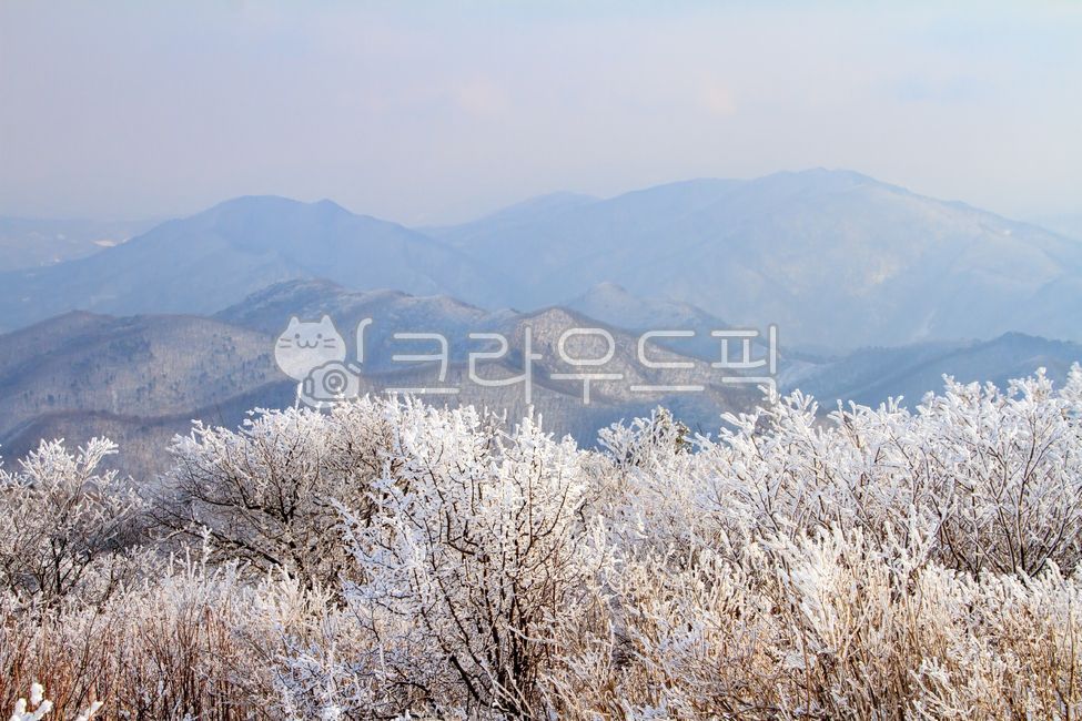 mountainrange,snow scene,balwangsan,winter,cold,snowscene,mountain,white,frost,snowflower,sky,snowflake,nature,sanggodae,tree,mountain range,korea,outdoors,snow