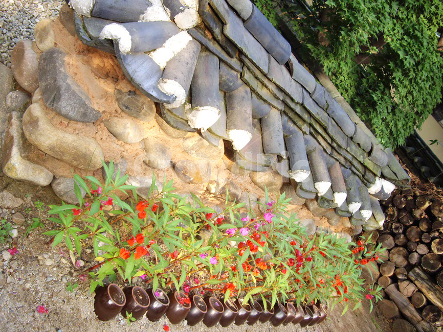 민속촌,민속마을,한국전통,전통,전통마을,한국문화,보존,한국의미,옛마을,village,nature,plant,자연,풍경,식물,korean,주거지,나무,traditional,culture,outdoors,전통정원,옥외,기와,담장,항아리