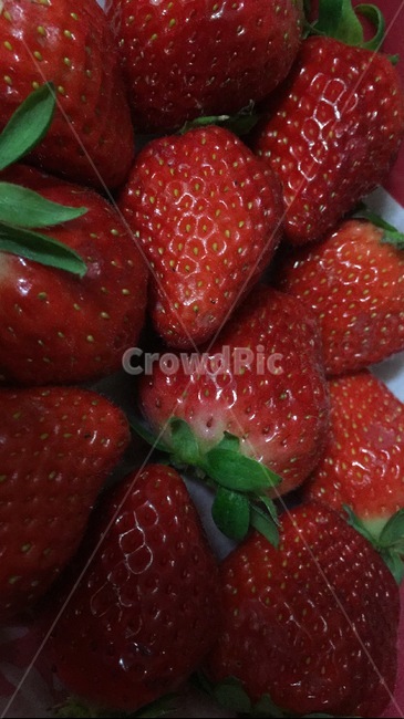 과일,딸기,색감,연출,채소,음식,식재료,요리,food,cook,meal,dishes,food reserves,과일,열매,fruit