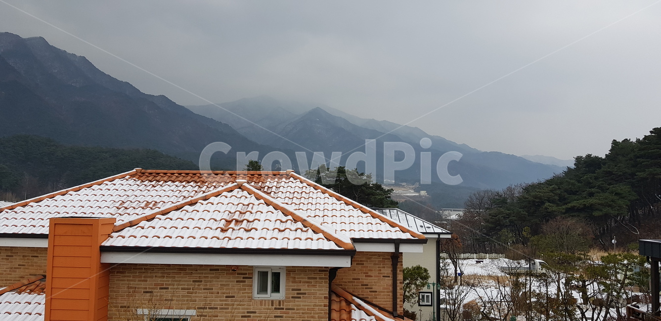 집,전원주택,산골,전원,주택,안개,겨울,계절,winter,season