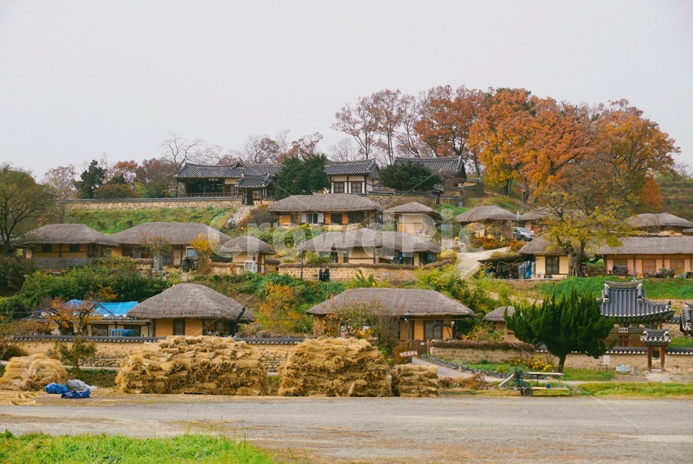 양동마을,자연,가을,단풍,초가집,가을,계절,fall,autumn,season,nature,outdoors,옥외,building,건물