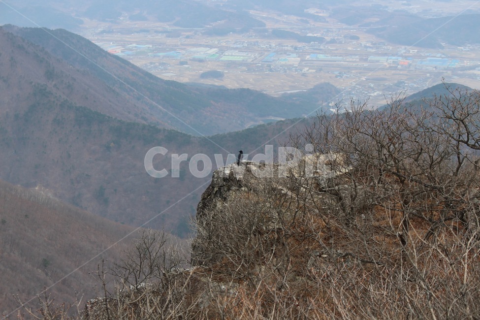 까마귀,바위,산,산세,나무,풍경,전경,새,동물,crow,bird,animal,mountain,외로운,쓸쓸한,고독,자연,풍경,nature,landscape,한국자연풍경,한국자연경관,korea nature landscape,outdoors,옥외