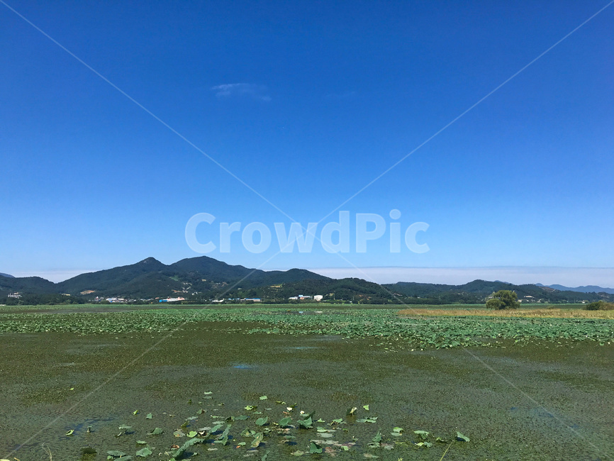 자연,옥외,들,목초지,하늘,산,잎,저수지,야외,background,beautiful,blue,green,leaves,mountain,natural,nature,organic,outdoor,plant,pond,scenery,sky,view,water,연못