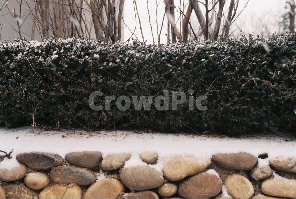 겨울,눈,돌담,일상,감성,겨울,계절,winter,season,자연,풍경,nature,landscape