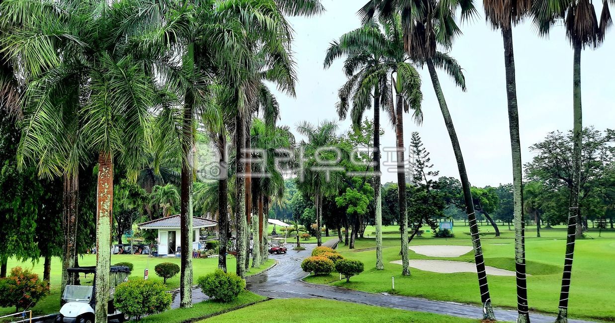 field,golf course,Indonesia Golf,golfcourse,Southeast Asia Golf