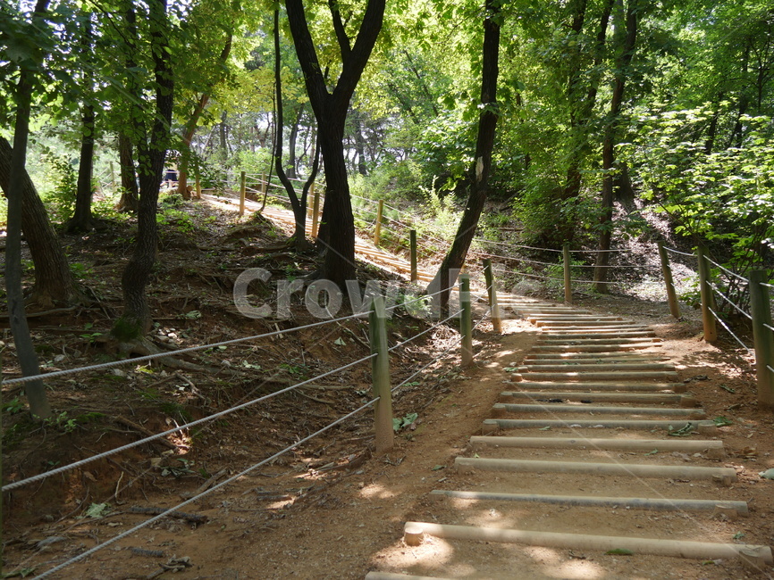 산책로,나무,흙,계단,그림자,빛,자연,풍경,nature,landscape,staircase