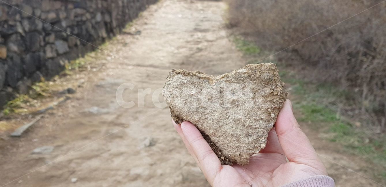 human,인간,person,사람,rock,록,하트,하트돌