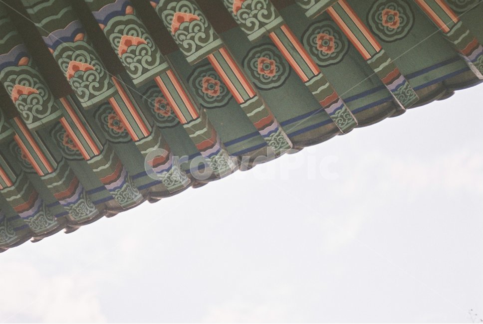 필름,필름카메라,자연,한국적,무늬
