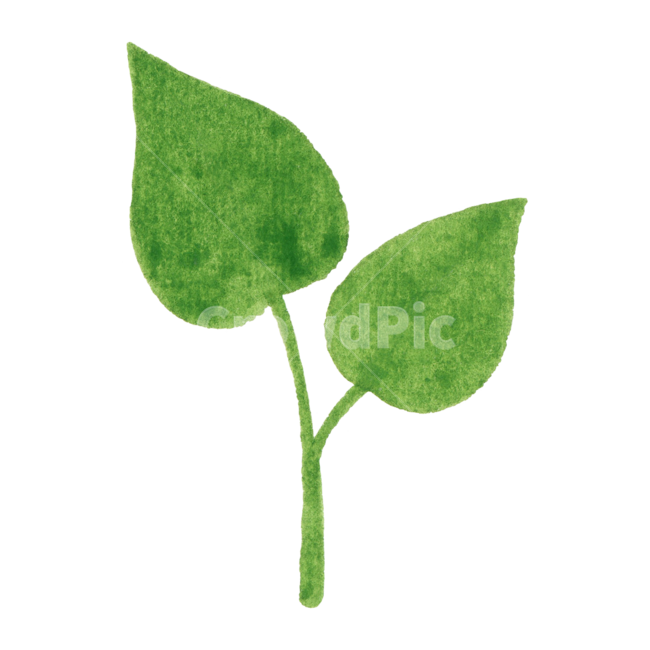 잎,나뭇잎,수채화,초록,자연,아이콘,식물,귀여운,손그림,일러스트,green,nature,봄,illustration,plant,leaf,여름,watercolor,icon,식물,자연,plants,nature,누끼,remove background,그래픽,일러스트레이션,graphic,illustration