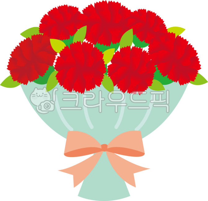 Carnation,flower,carnation flower,bouquet,carnation flower bouquet,parent's day,teacher's day,flower delivery,carnation,flower,petal,flower gift