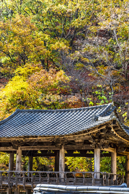 청평사,사찰,정자,누각,전통가옥,기와,단풍,기와지붕,풍경,숲,문화유산,가을,단청,건축물,지붕,자연,가을,계절,fall,autumn,season,한국전통,한국문화,korean traditional,korean culture