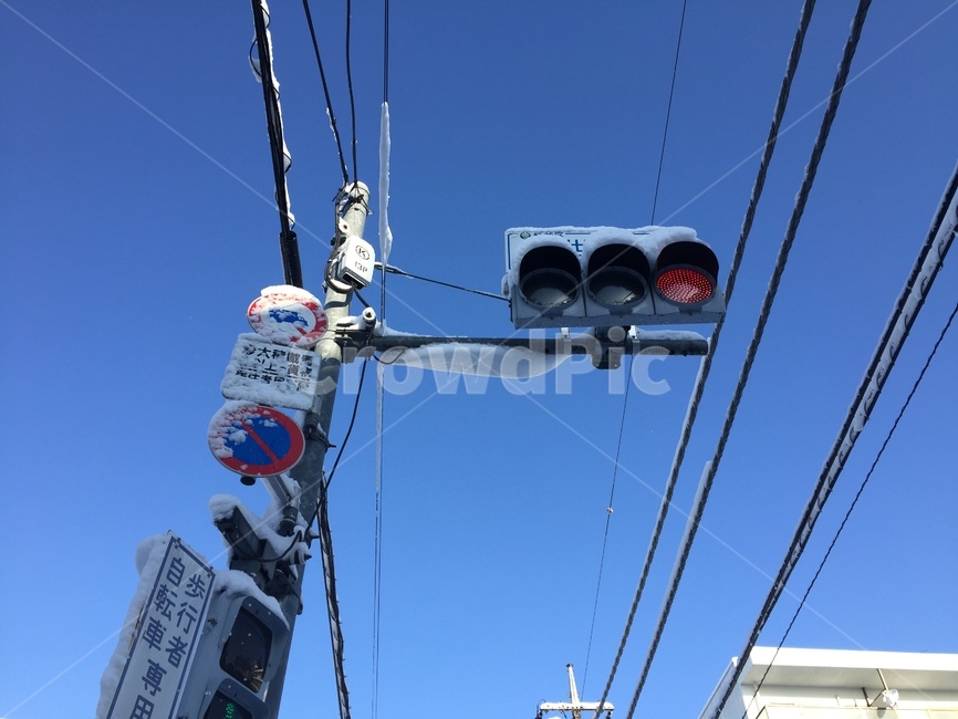 trafficlights,signallights,japanesetown,japan,신호등,빨간불,redman