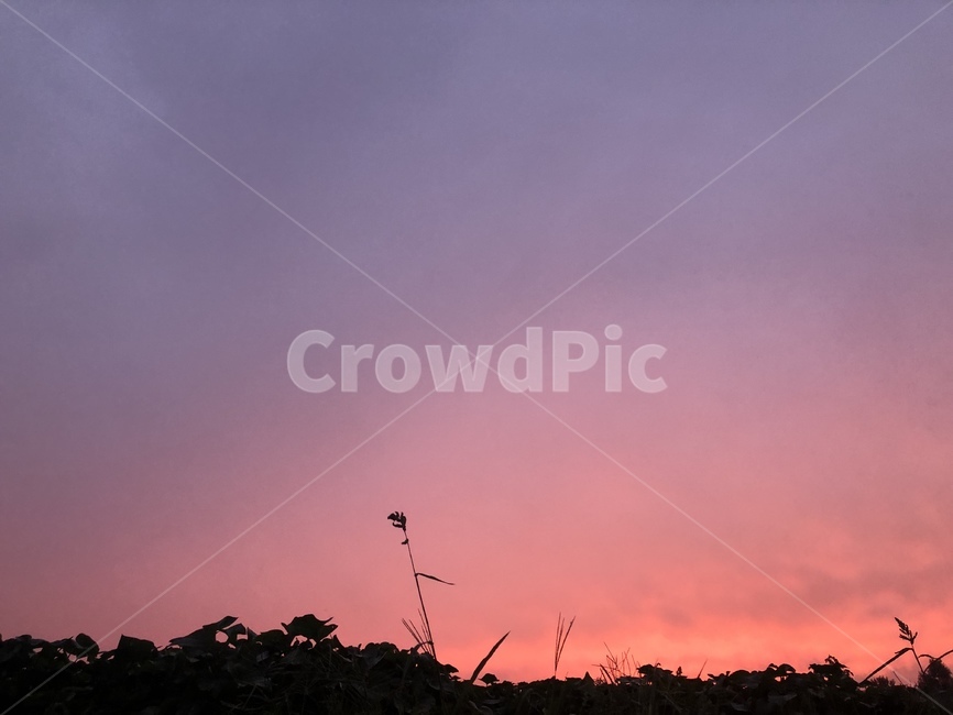 자연,sky,붉은하늘,redsky,하늘