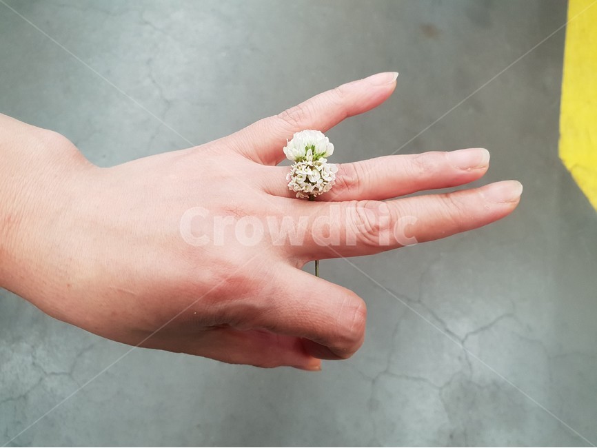손,여자,신체,사람,꽃반지,약속,감성,손톱,여름,꽃,flower,사람,인물,인간,human,person,신체일부,몸,body