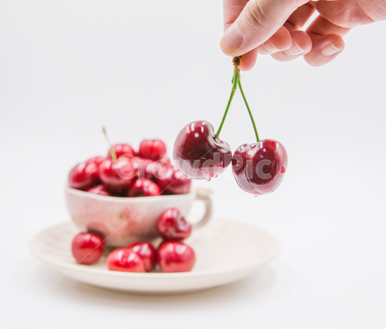 체리,과일,베리,열매,cherry,빨강색,red,디저트,음식,cook,foodreserves,fruit,컨셉,연출,누끼,음식,식재료,요리,food,cook,meal,dishes,food reserves,과일,열매,fruit