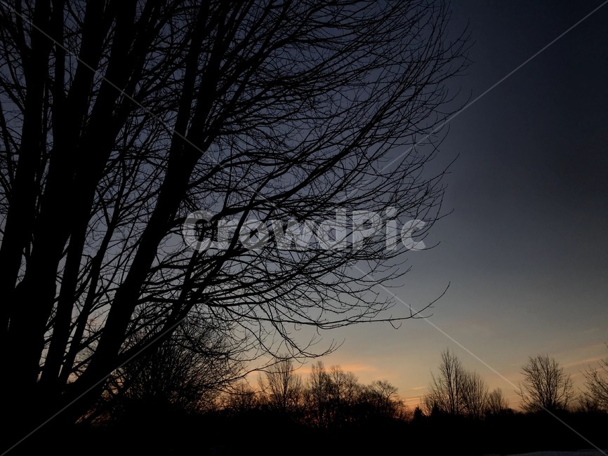 nature,자연,outdoors,옥외,silhouette,실루엣,dawn,새벽,redsky,붉은하늘,dusk,황혼,sky,하늘,일출