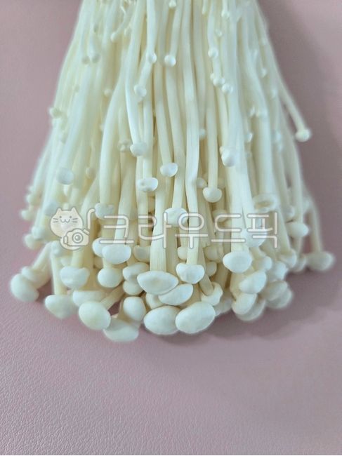 팽이버섯,버섯,식재료,음식재료,enokimushroom,mushroom