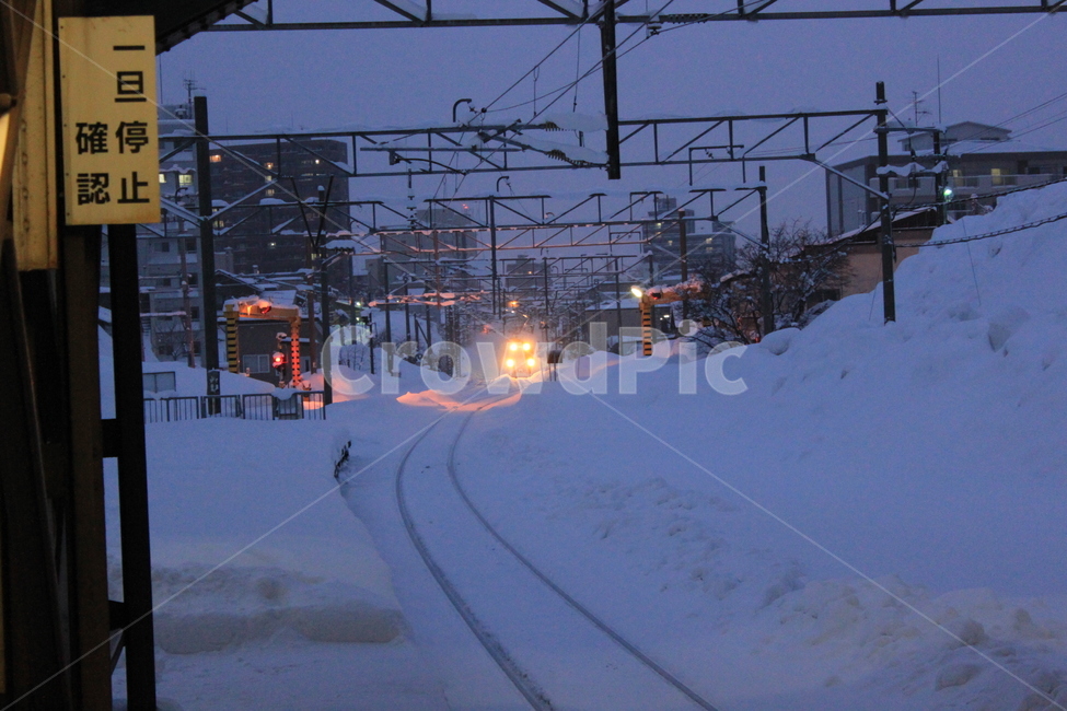 겨울,눈,기차열,기차,일본,삿포로,winter,snow,station,train,japan,sappro