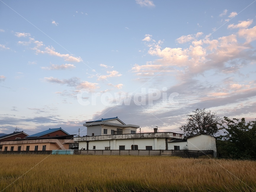 노을,저녁,풍경,구름,시골,한적,나무,들판,자연,countryside